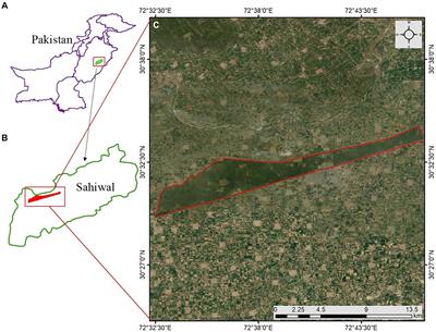 Plant distribution, ecological traits and diversity patterns of vegetation in subtropical managed forests as guidelines for forest management policy